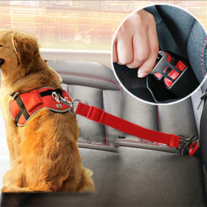 Car Safety Belt Attatchement - Waggy Tails